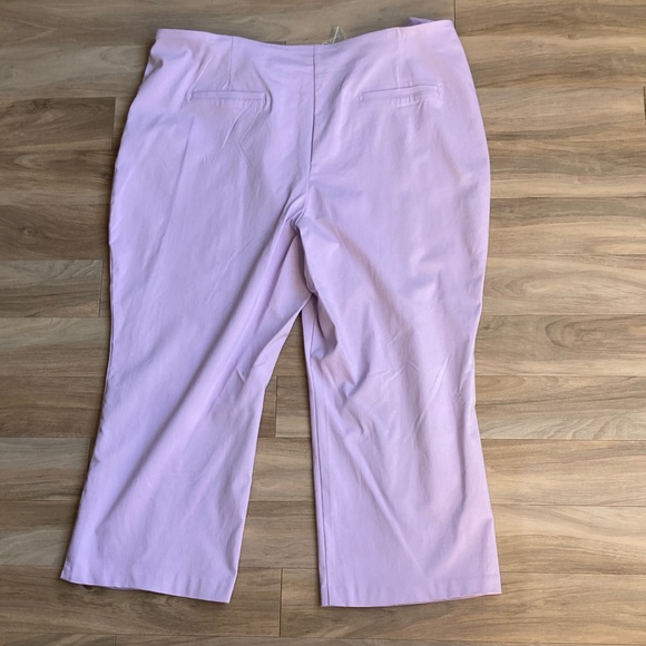 Zac & Rachel lavender pant with stretch career office business casual 24W - Picture 5 of 16